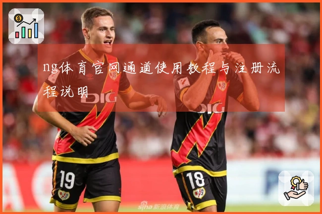 ng体育官网通道使用教程与注册流程说明