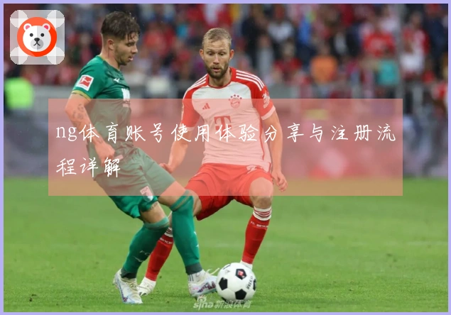 ng体育账号使用体验分享与注册流程详解