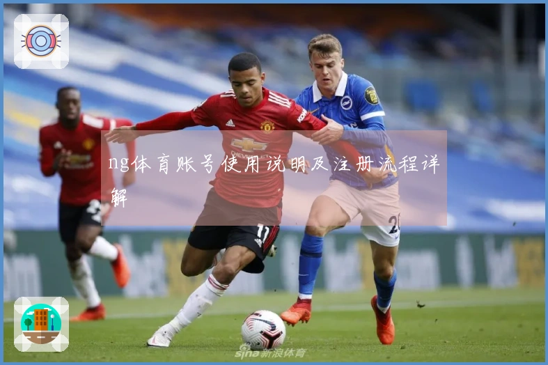 ng体育账号使用说明及注册流程详解