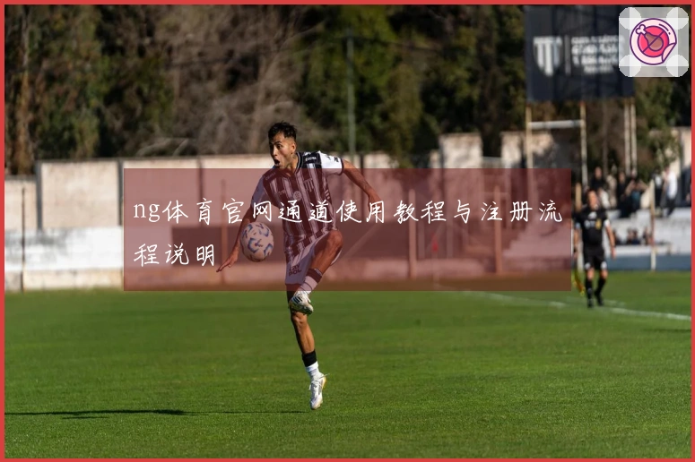 ng体育官网通道使用教程与注册流程说明