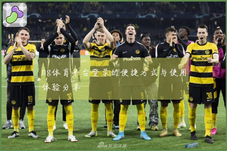 ng体育平台登录的便捷方式与使用体验分享