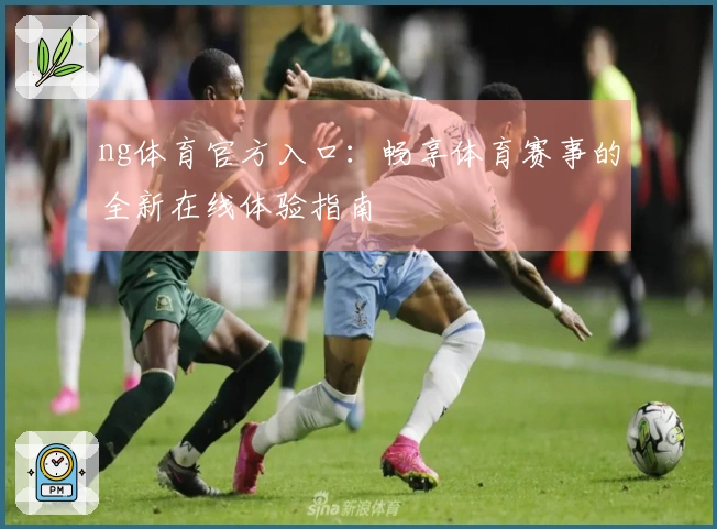ng体育官方入口：畅享体育赛事的全新在线体验指南